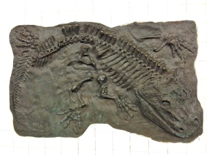 Subway "fossils."