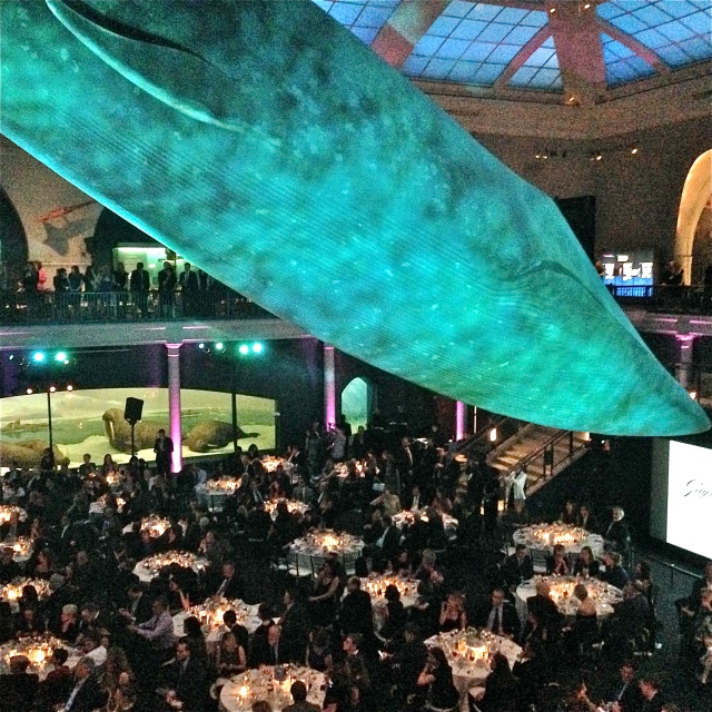 The 94 foot long, fiberglass replica of a blue whale.